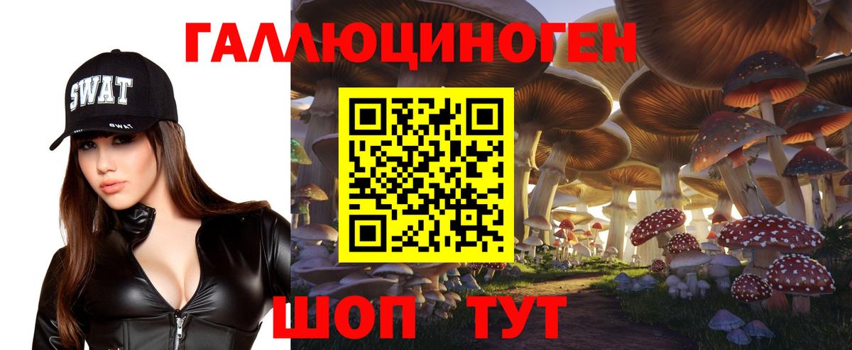 Псилоцибиновые грибы мухоморы  Галлюциногенные грибы Psilocybe  Вход с VPN  Благовещенск 